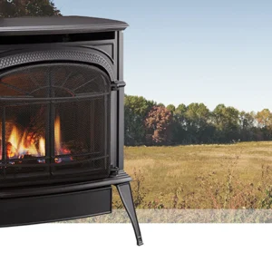 Vermont Castings Intrepid Direct Vent Gas Stove